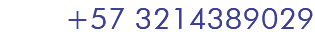 +57 3214389029